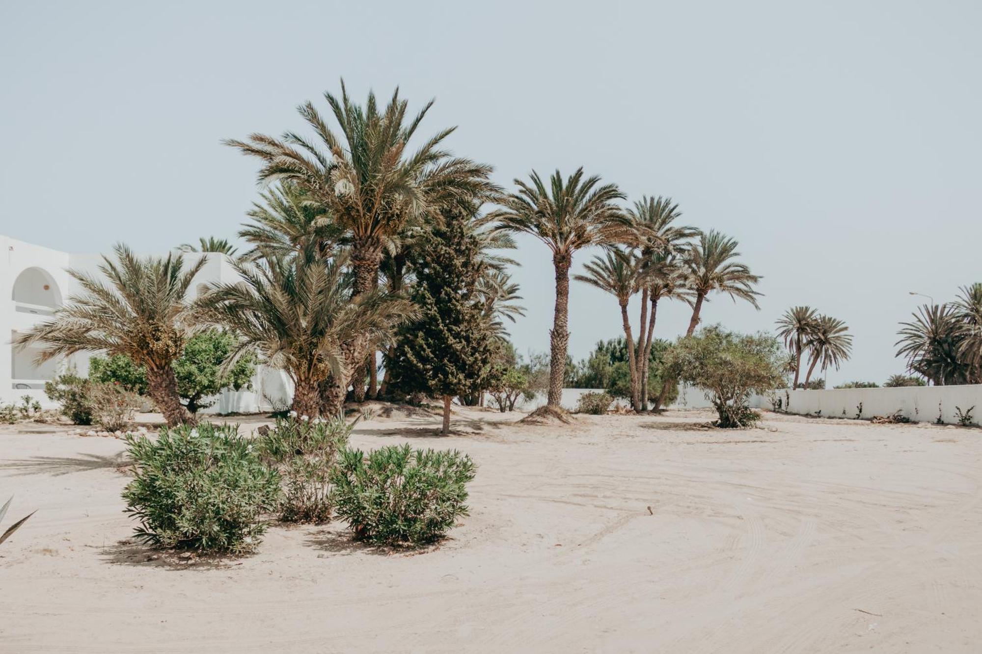 Hotel Bougainvillier Djerba Taguermess Eksteriør bilde